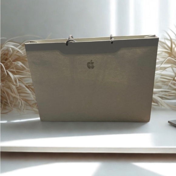 Apple Silver Box and Bag Set - Picture 3 of 3